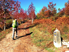 Portugal-Minho-Portuguese Camino